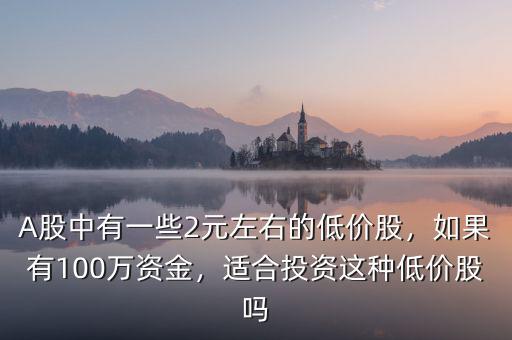 A股中有一些2元左右的低價(jià)股，如果有100萬資金，適合投資這種低價(jià)股嗎