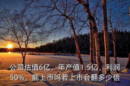 公司估值6億，年產(chǎn)值1.5億，利潤50%，能上市嗎若上市會(huì)翻多少倍