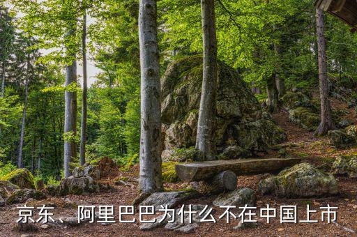 京東、阿里巴巴為什么不在中國上市