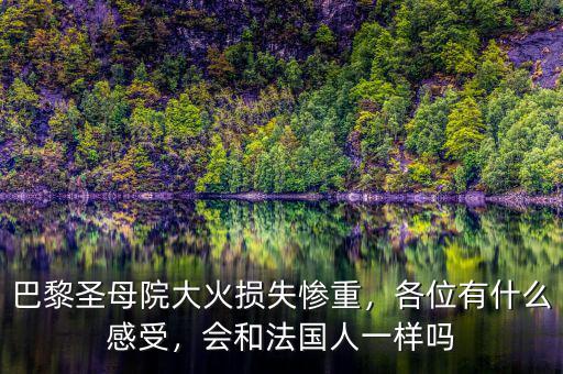 巴黎圣母院大火損失慘重，各位有什么感受，會和法國人一樣嗎