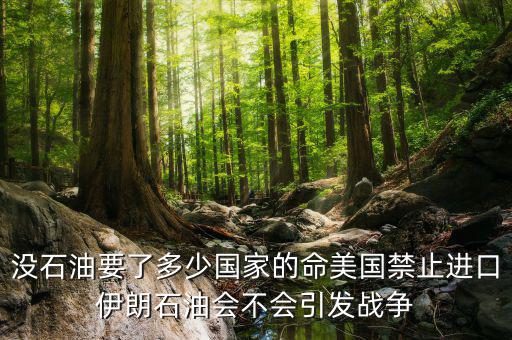 沒石油要了多少國家的命美國禁止進(jìn)口伊朗石油會(huì)不會(huì)引發(fā)戰(zhàn)爭