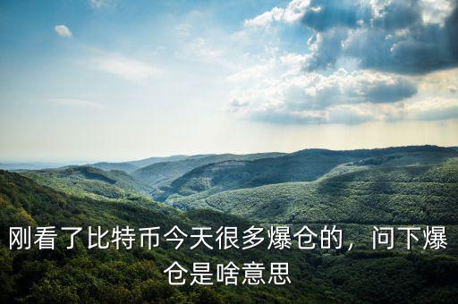 剛看了比特幣今天很多爆倉的，問下爆倉是啥意思