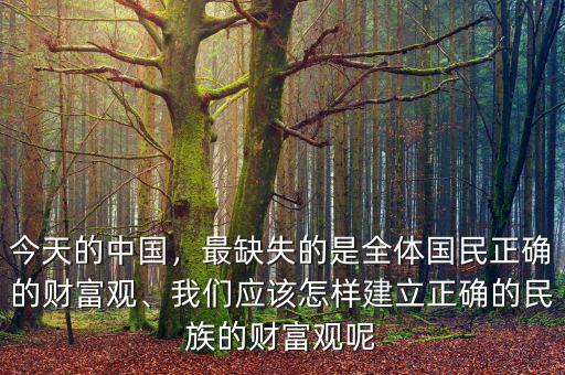 今天的中國，最缺失的是全體國民正確的財富觀、我們應(yīng)該怎樣建立正確的民族的財富觀呢