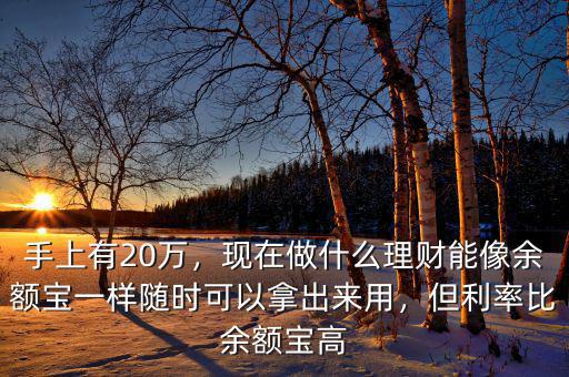 手上有20萬，現(xiàn)在做什么理財能像余額寶一樣隨時可以拿出來用，但利率比余額寶高