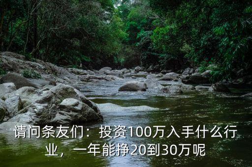 請(qǐng)問(wèn)條友們：投資100萬(wàn)入手什么行業(yè)，一年能掙20到30萬(wàn)呢