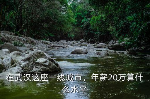 在武漢這座一線城市，年薪20萬(wàn)算什么水平