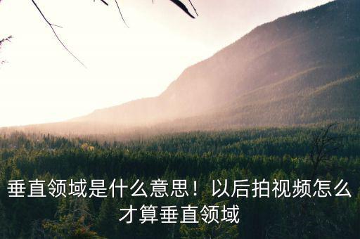 垂直領(lǐng)域是什么意思！以后拍視頻怎么才算垂直領(lǐng)域