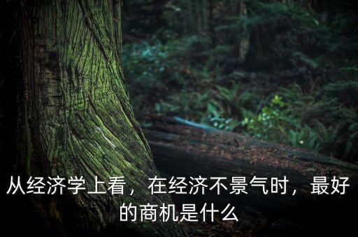 從經(jīng)濟學上看，在經(jīng)濟不景氣時，最好的商機是什么