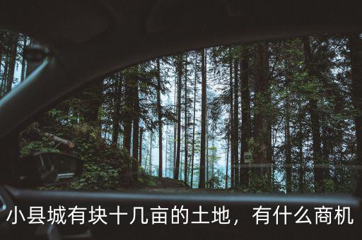 小縣城有塊十幾畝的土地，有什么商機(jī)