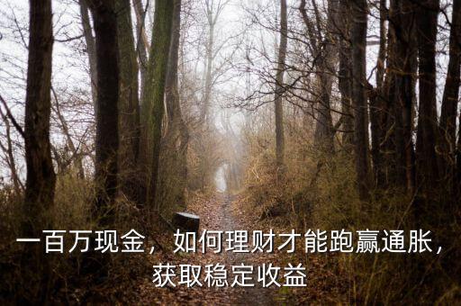 一百萬現(xiàn)金，如何理財才能跑贏通脹，獲取穩(wěn)定收益