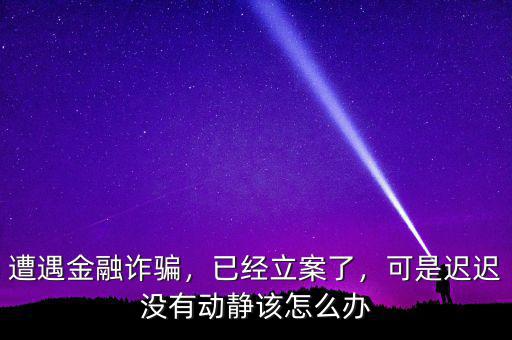 遭遇金融詐騙，已經(jīng)立案了，可是遲遲沒有動(dòng)靜該怎么辦