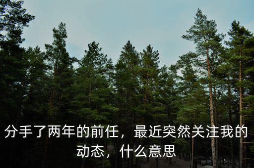 高培勇最近關注什么,最近關注日產(chǎn)驪威