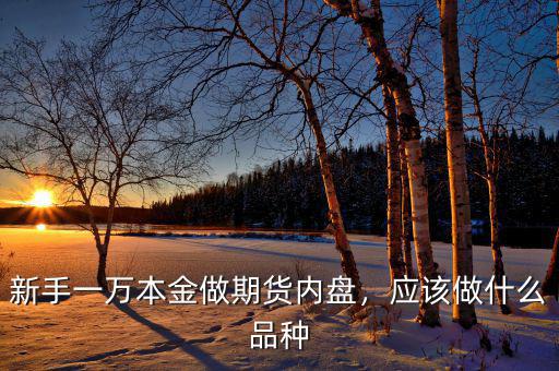 新手一萬(wàn)本金做期貨內(nèi)盤(pán)，應(yīng)該做什么品種