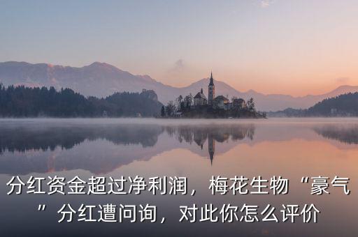 分紅資金超過凈利潤，梅花生物“豪氣”分紅遭問詢，對此你怎么評(píng)價(jià)
