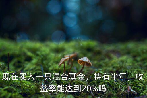現(xiàn)在買入一只混合基金，持有半年，收益率能達到20%嗎