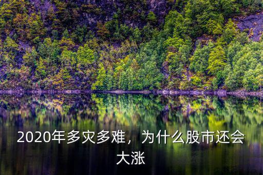 2020年多災(zāi)多難，為什么股市還會大漲