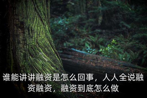 誰(shuí)能講講融資是怎么回事，人人全說(shuō)融資融資，融資到底怎么做