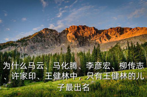 為什么馬云、馬化騰、李彥宏、柳傳志、許家印、王健林中，只有王健林的兒子最出名