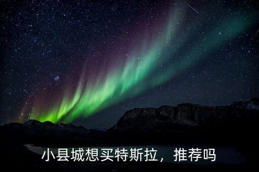 小縣城想買(mǎi)特斯拉，推薦嗎