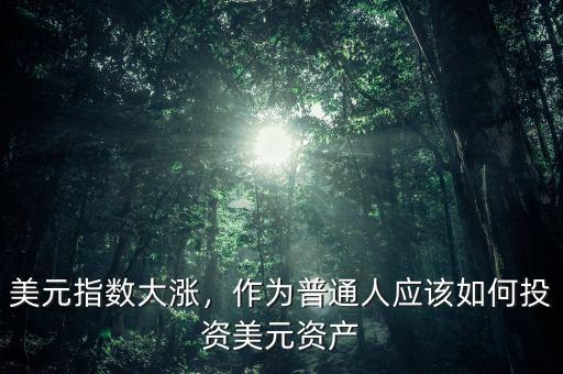 美元指數(shù)大漲，作為普通人應該如何投資美元資產(chǎn)