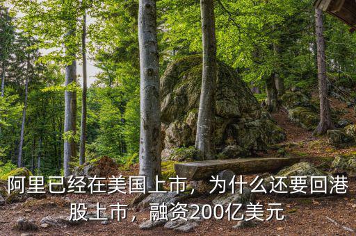 阿里已經(jīng)在美國上市，為什么還要回港股上市，融資200億美元