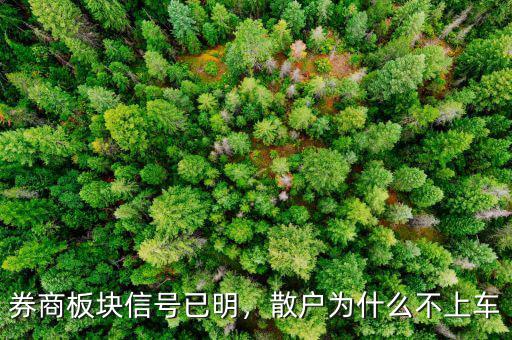 券商板塊信號已明，散戶為什么不上車