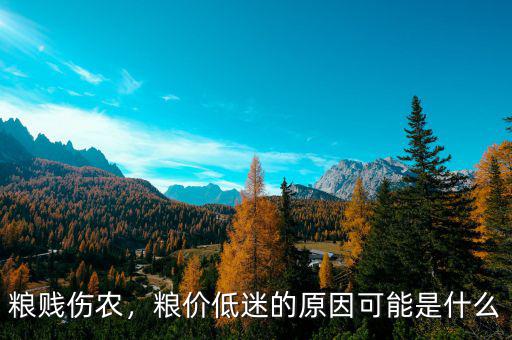 糧賤傷農(nóng)，糧價(jià)低迷的原因可能是什么