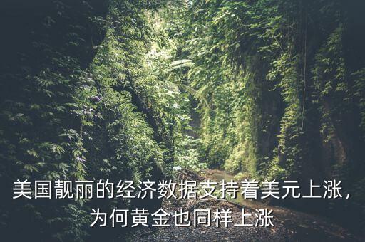 美國(guó)靚麗的經(jīng)濟(jì)數(shù)據(jù)支持著美元上漲，為何黃金也同樣上漲