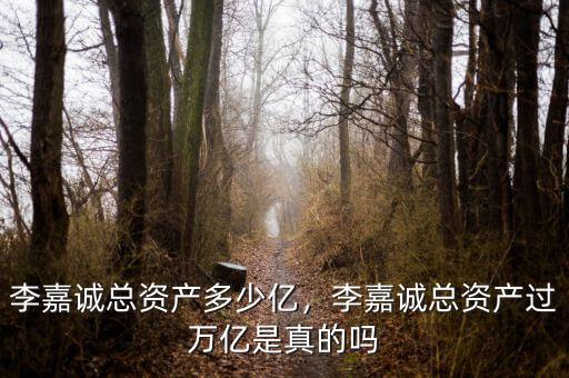 李嘉誠(chéng)總資產(chǎn)多少億，李嘉誠(chéng)總資產(chǎn)過萬億是真的嗎