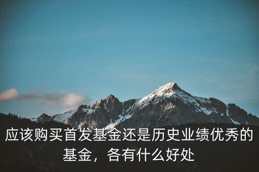 應該購買首發(fā)基金還是歷史業(yè)績優(yōu)秀的基金，各有什么好處