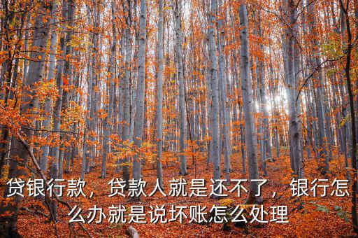 貸銀行款，貸款人就是還不了，銀行怎么辦就是說壞賬怎么處理