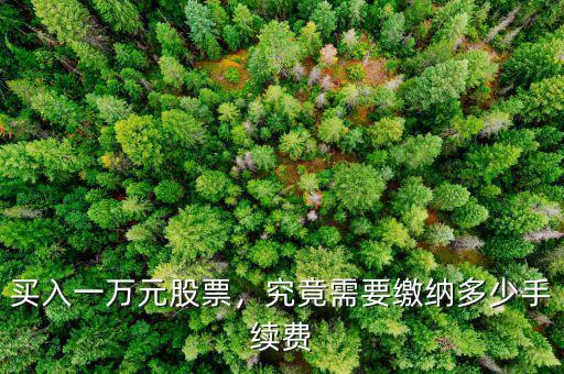 買入一萬元股票，究竟需要繳納多少手續(xù)費