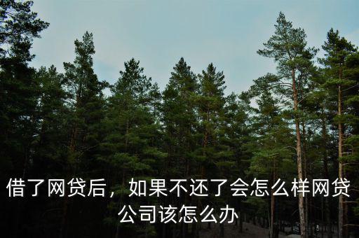 借了網(wǎng)貸后，如果不還了會(huì)怎么樣網(wǎng)貸公司該怎么辦