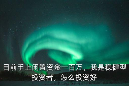 目前手上閑置資金一百萬，我是穩(wěn)健型投資者，怎么投資好