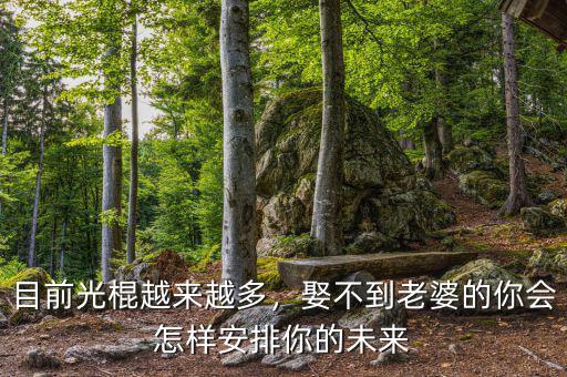 目前光棍越來越多，娶不到老婆的你會怎樣安排你的未來