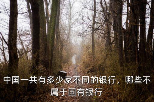 中國一共有多少家不同的銀行，哪些不屬于國有銀行