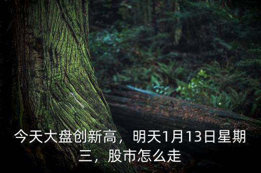 今天大盤創(chuàng)新高，明天1月13日星期三，股市怎么走