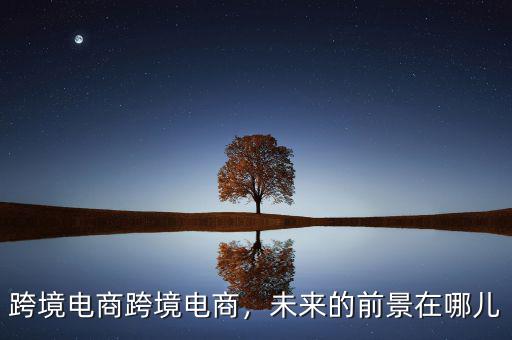 跨境電商跨境電商，未來的前景在哪兒