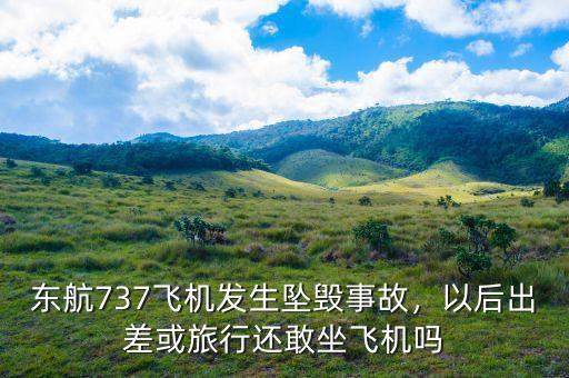 東航737飛機(jī)發(fā)生墜毀事故，以后出差或旅行還敢坐飛機(jī)嗎