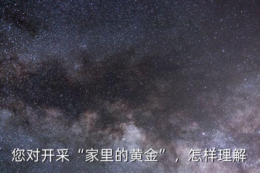 您對開采“家里的黃金”，怎樣理解