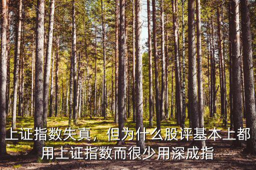上證指數(shù)失真，但為什么股評(píng)基本上都用上證指數(shù)而很少用深成指