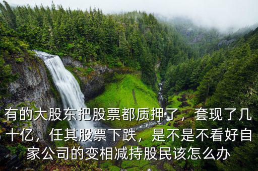 有的大股東把股票都質(zhì)押了，套現(xiàn)了幾十億，任其股票下跌，是不是不看好自家公司的變相減持股民該怎么辦