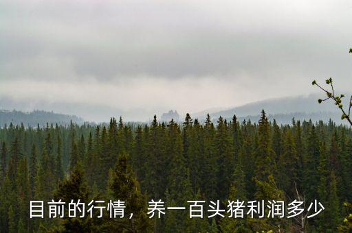 目前的行情，養(yǎng)一百頭豬利潤多少