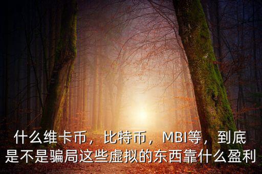 什么維卡幣，比特幣，MBI等，到底是不是騙局這些虛擬的東西靠什么盈利