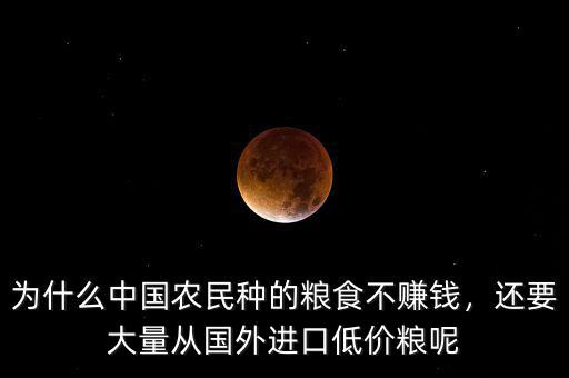為什么中國農(nóng)民種的糧食不賺錢，還要大量從國外進(jìn)口低價糧呢