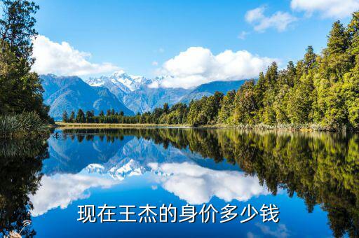 喬志杰身價多少,樊振東現在身價多少