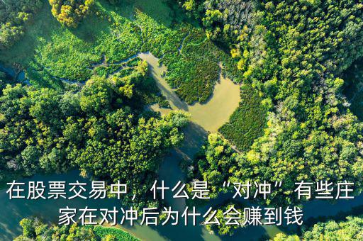 在股票交易中，什么是“對(duì)沖”有些莊家在對(duì)沖后為什么會(huì)賺到錢(qián)