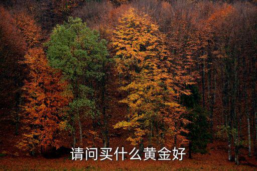 請(qǐng)問買什么黃金好