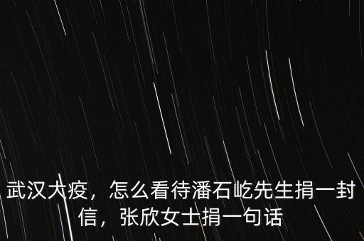 武漢大疫，怎么看待潘石屹先生捐一封信，張欣女士捐一句話