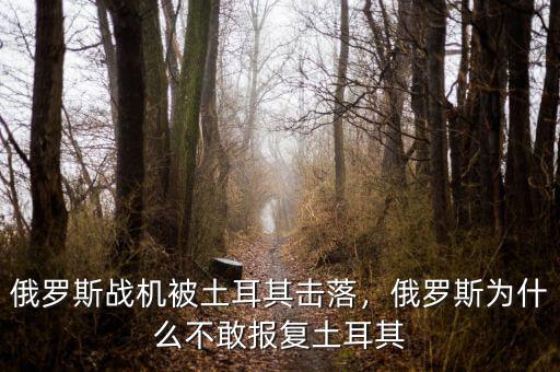 俄羅斯戰(zhàn)機(jī)被土耳其擊落，俄羅斯為什么不敢報(bào)復(fù)土耳其